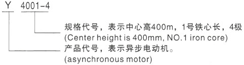 西安泰富西玛Y系列(H355-1000)高压梁子湖三相异步电机型号说明